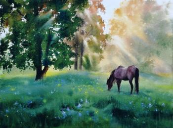 Last days of summer (Horse In Watercolor). Kovalenko Olga