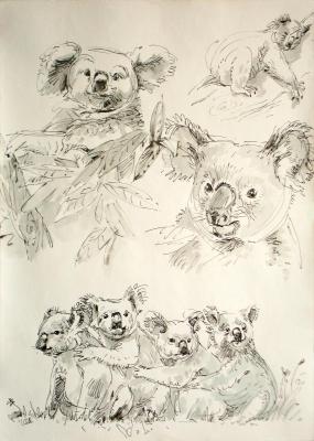 ������� �������