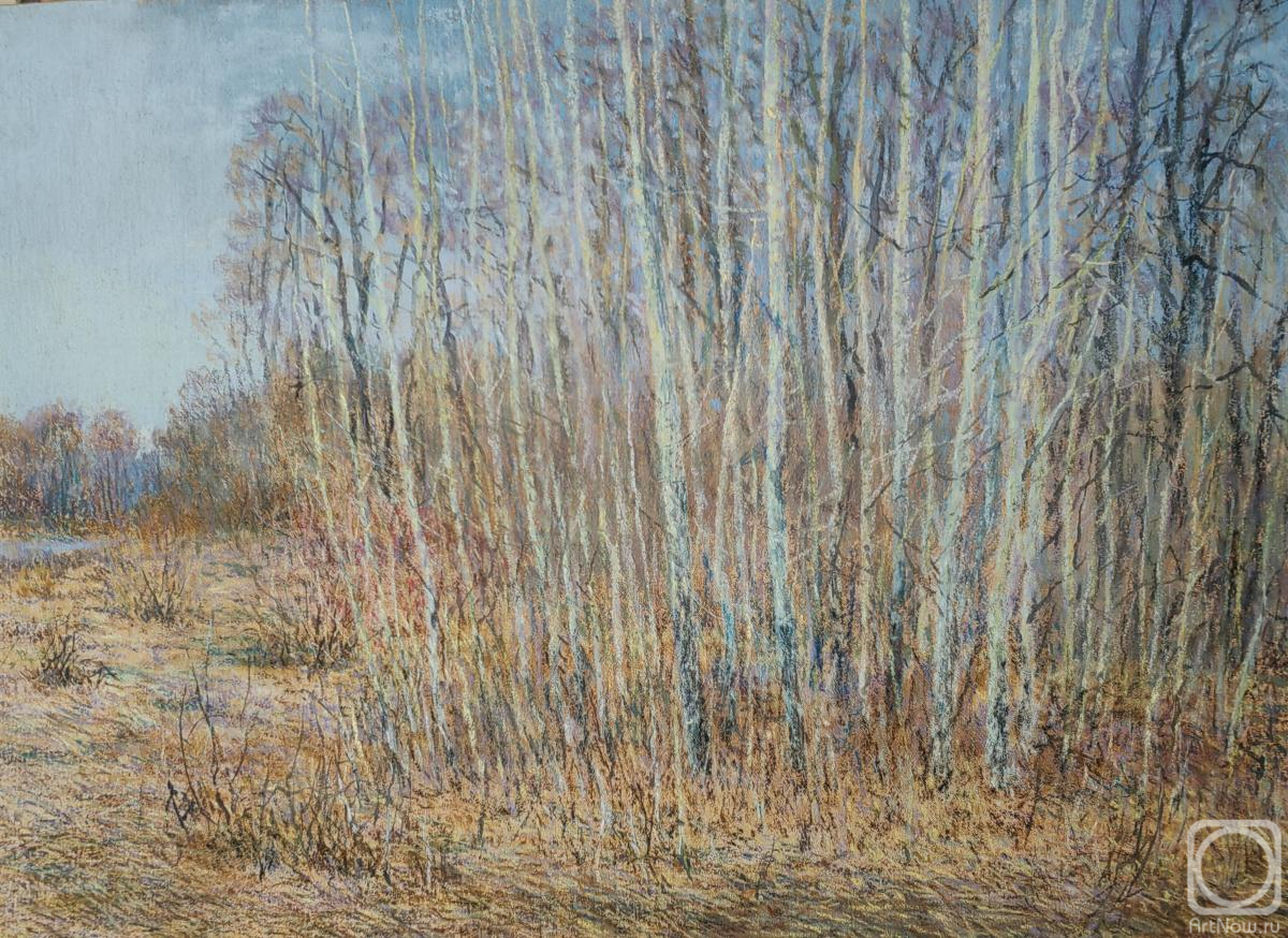 Sytin Albert. Warm April Day