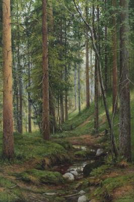 A stream in the forest. Myakotin Oleg