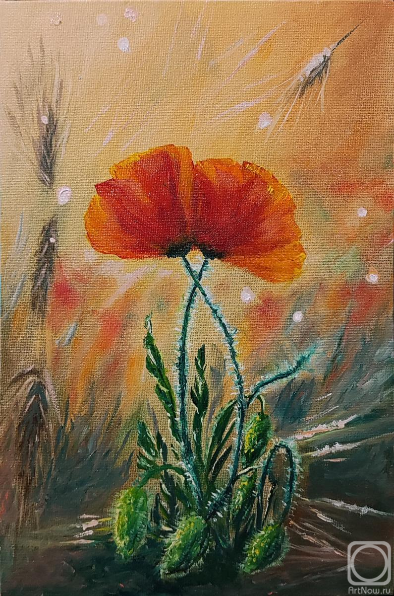 ������� ������ �� ������. �������� ��������. ������� ������� "����"