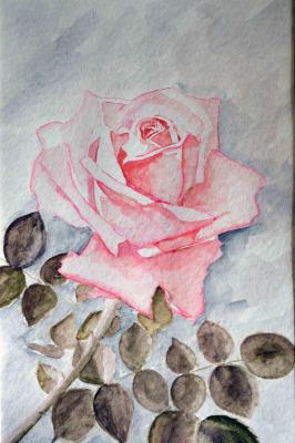 ������� ������������ ���� �� ���������� ����