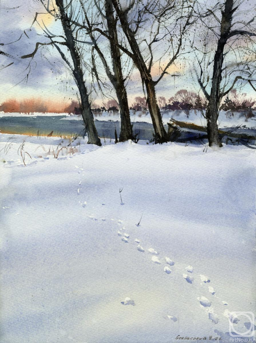 Gorbacheva Evgeniya. Footprints in the snow