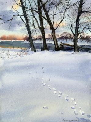 Footprints in the snow (Winterscape). Gorbacheva Evgeniya