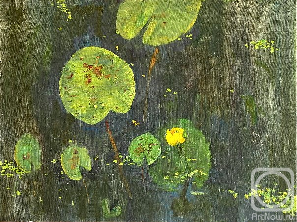 ������� ������ �� ������. ��������� ����������. ��������