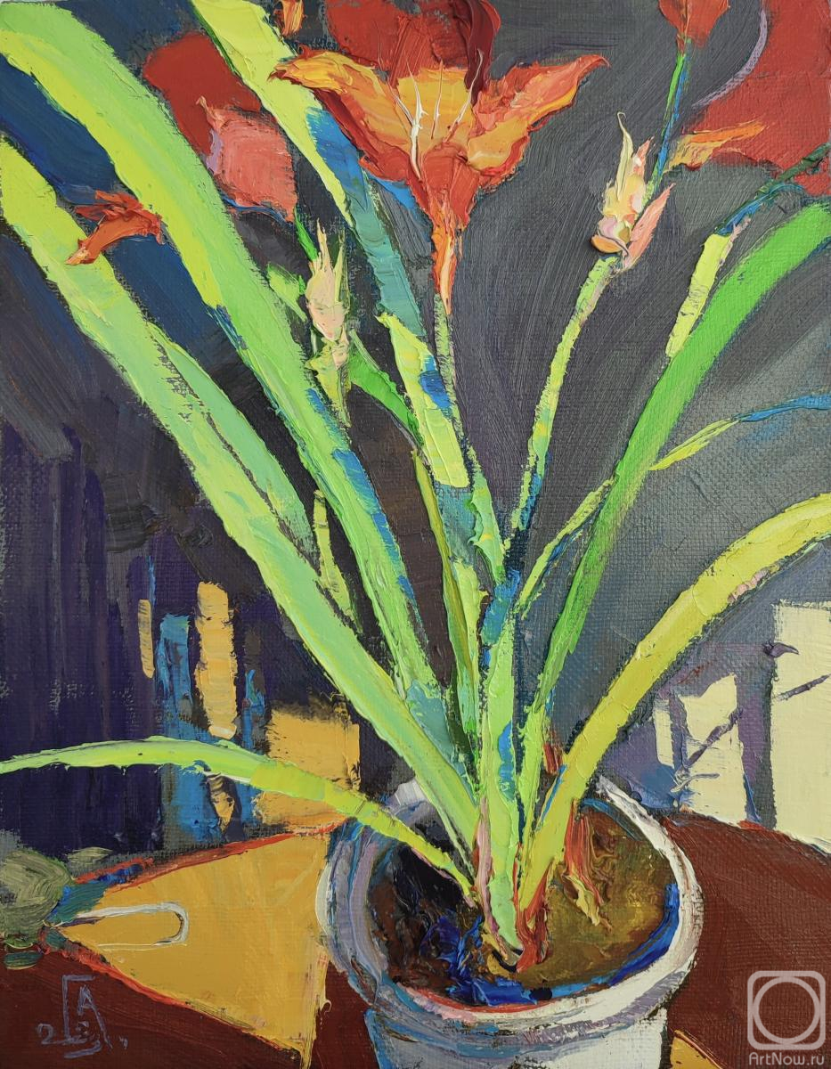 ������� ������ �� ������. ���������� �������. �������