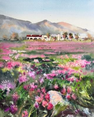 A field of clover in the rays of dawn Cyprus (Flowers In The Mountains). Gorbacheva Evgeniya