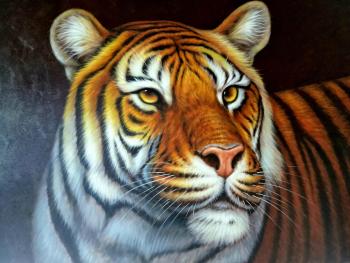 ����� ���������� �����. ��������� �����