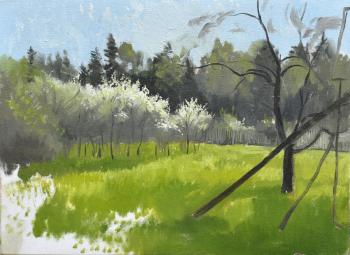Plum blossoms (A Flowering Garden Painting). Mashin Igor