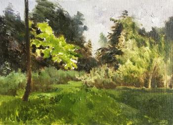 The path by the green tree (etude). Mashin Igor