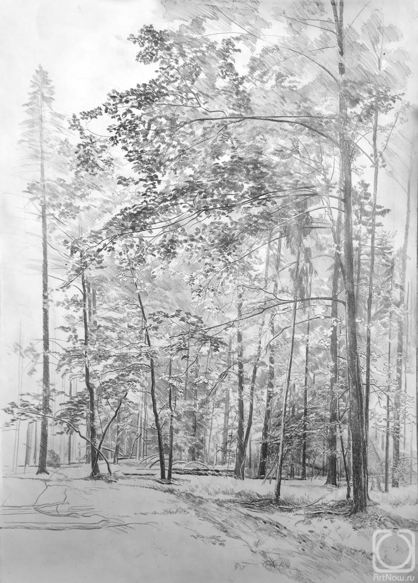 �������. ����� �����. ��������� ����