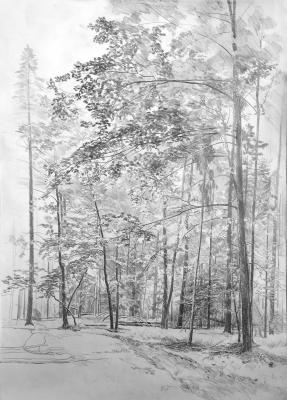 ������� ���������� �����