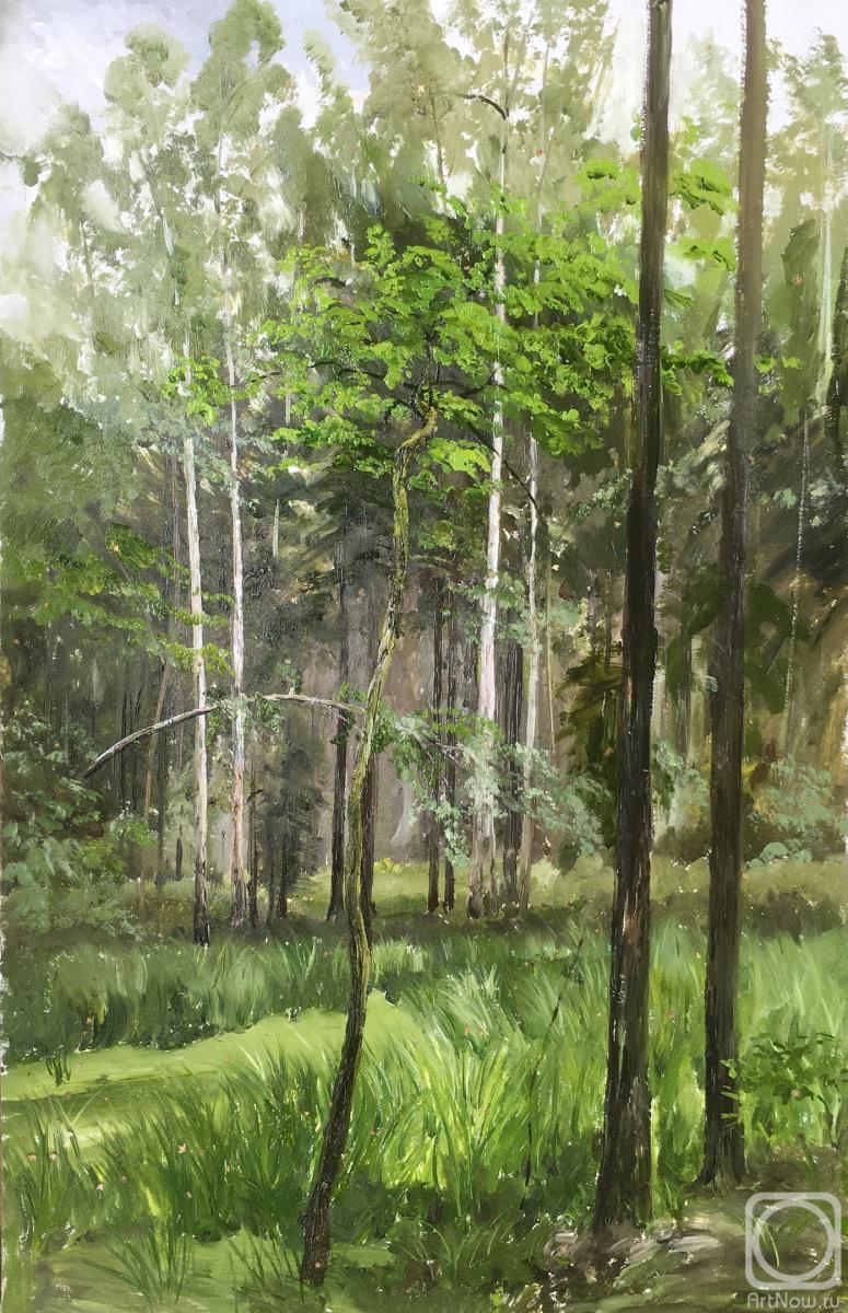 Mashin Igor. A tree in a swamp