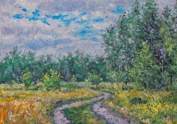 Road Along the Forest (Road In Forest). Volya Alexander