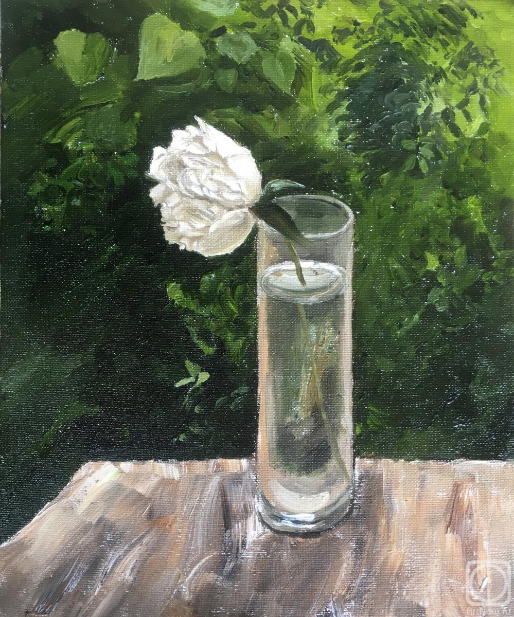 ������� ������ �� ������. ����� �����. ����� ����