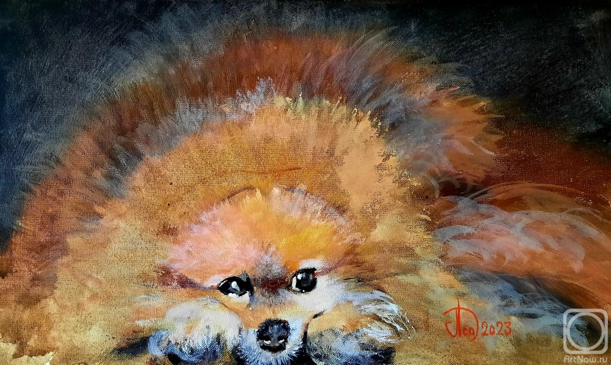 �������. ������ ���������. ����