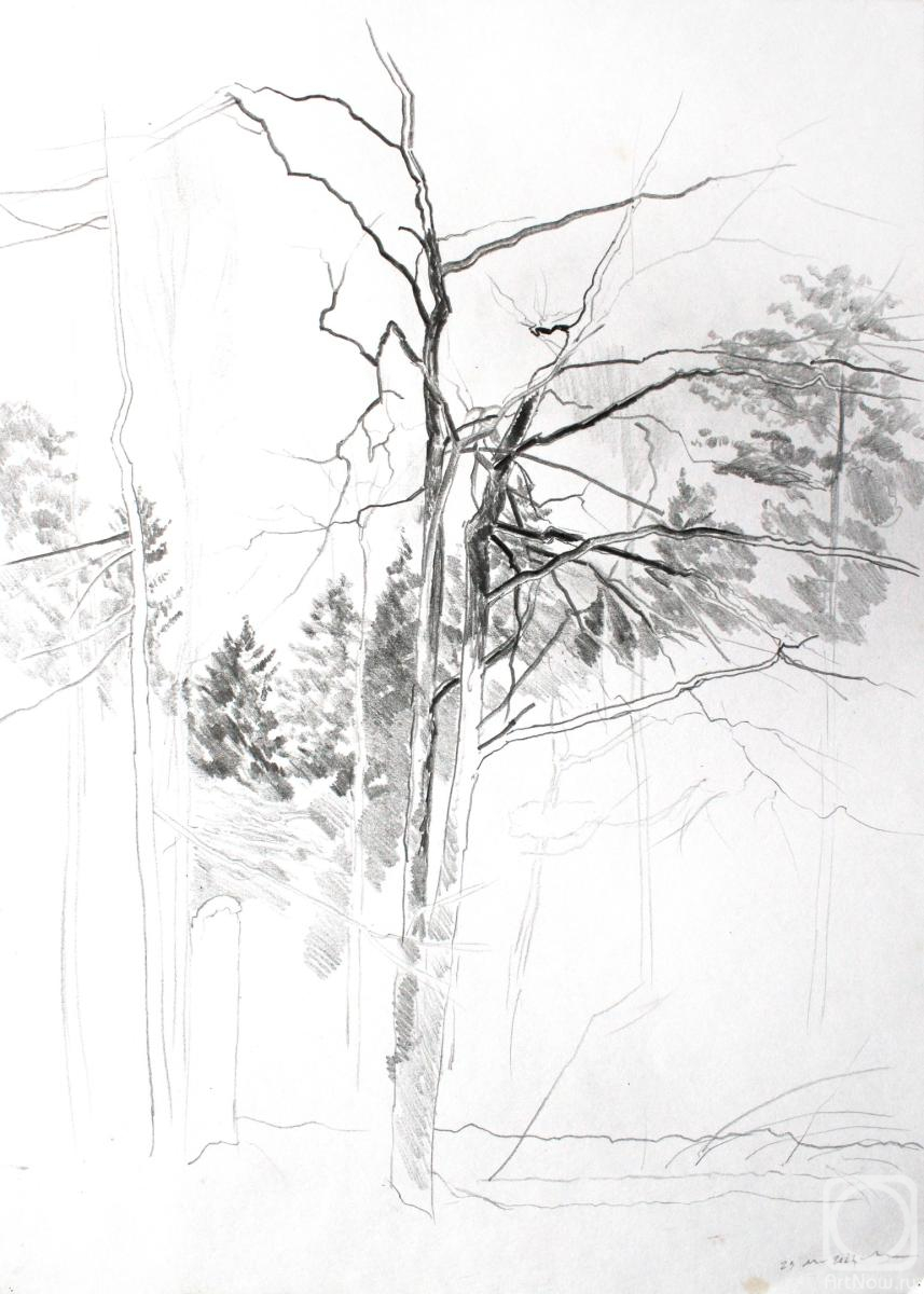 �������. ����� �����. ����� ������. ���������