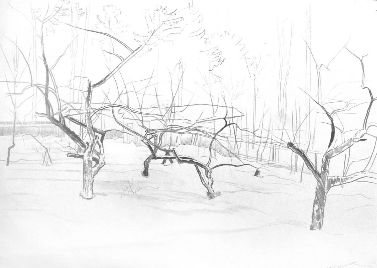 �������. ����� �����. ��������� ��� �����