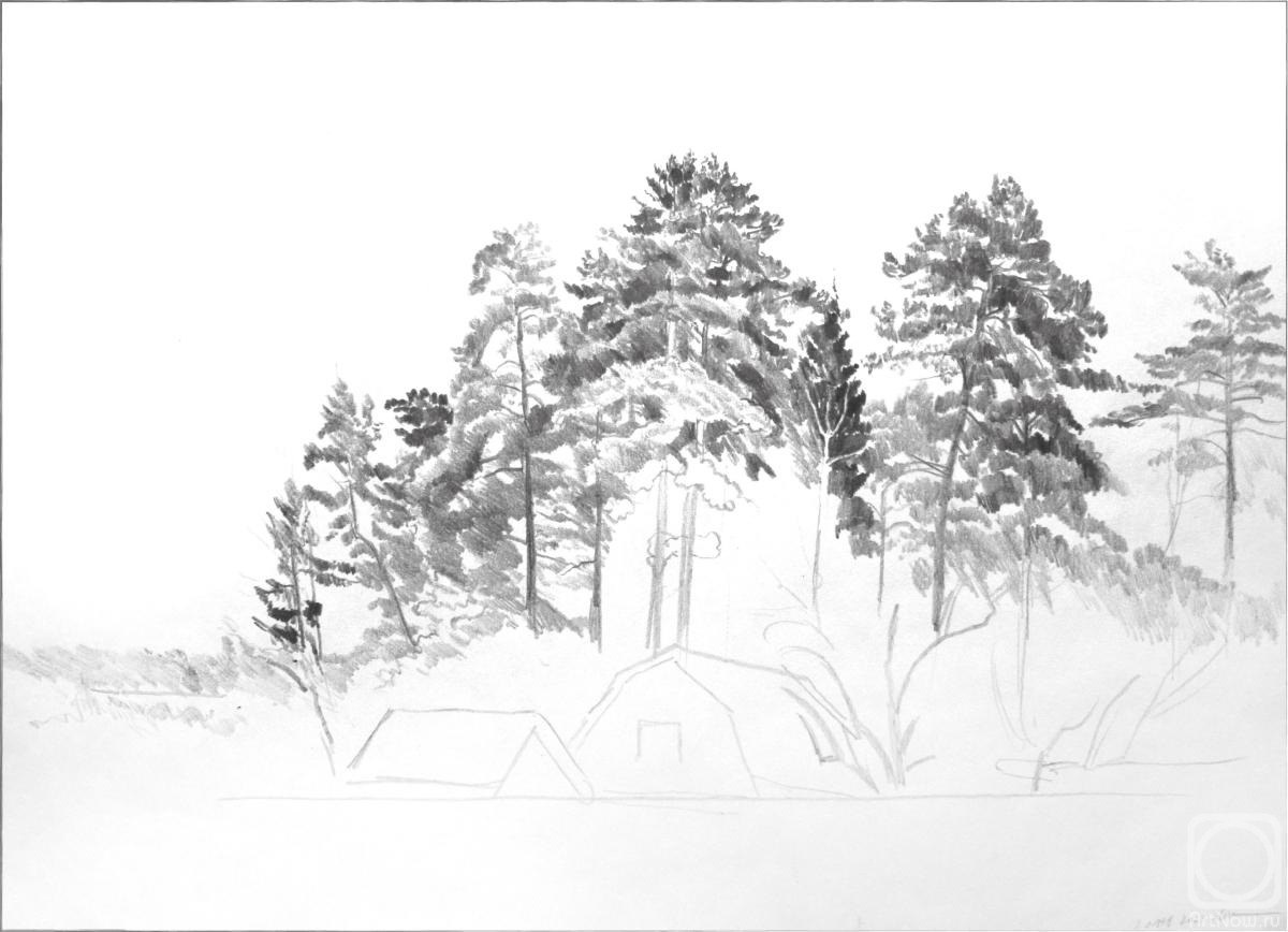 �������. ����� �����. �����. ���������