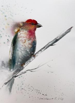 Red bird #2 (Baby Bird). Gorbacheva Evgeniya