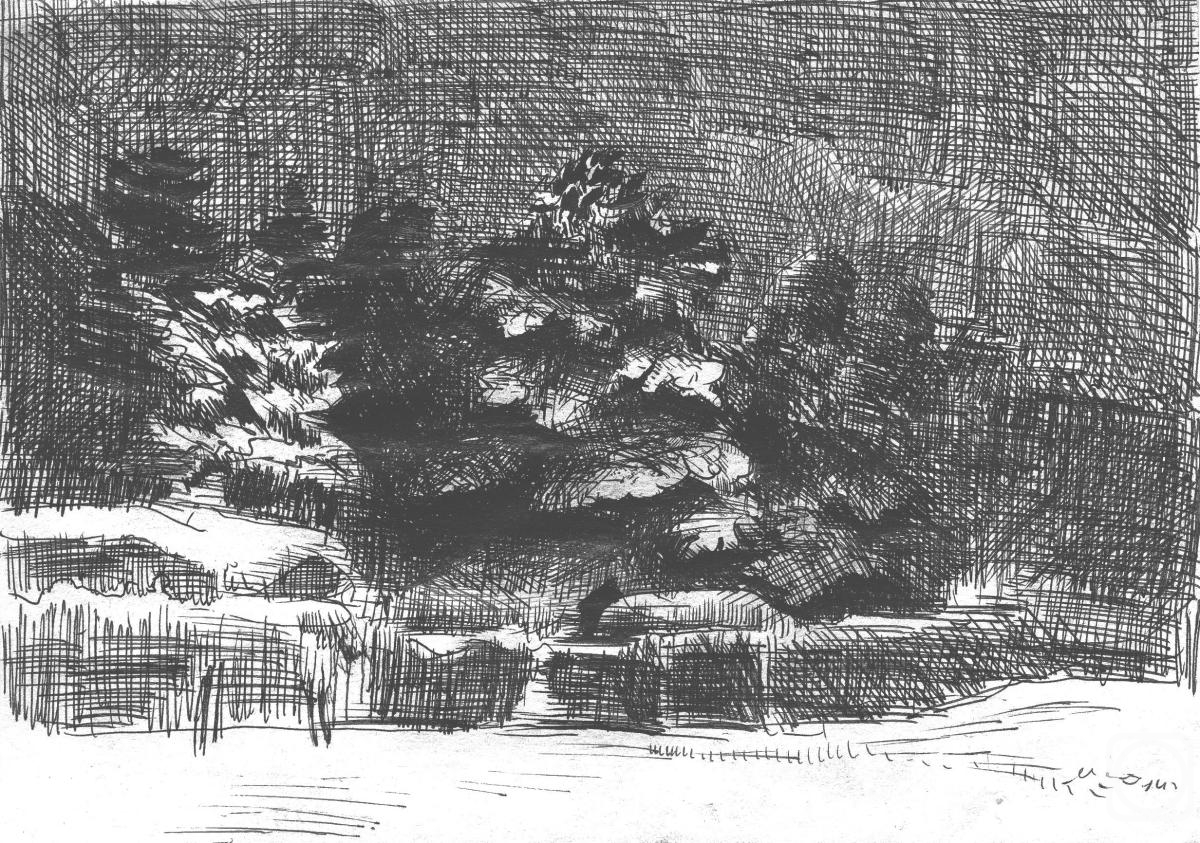 Mashin Igor. Winter night. Pine trees