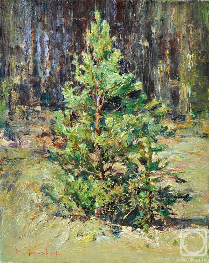 Korotkov Valentin. Pine Tree