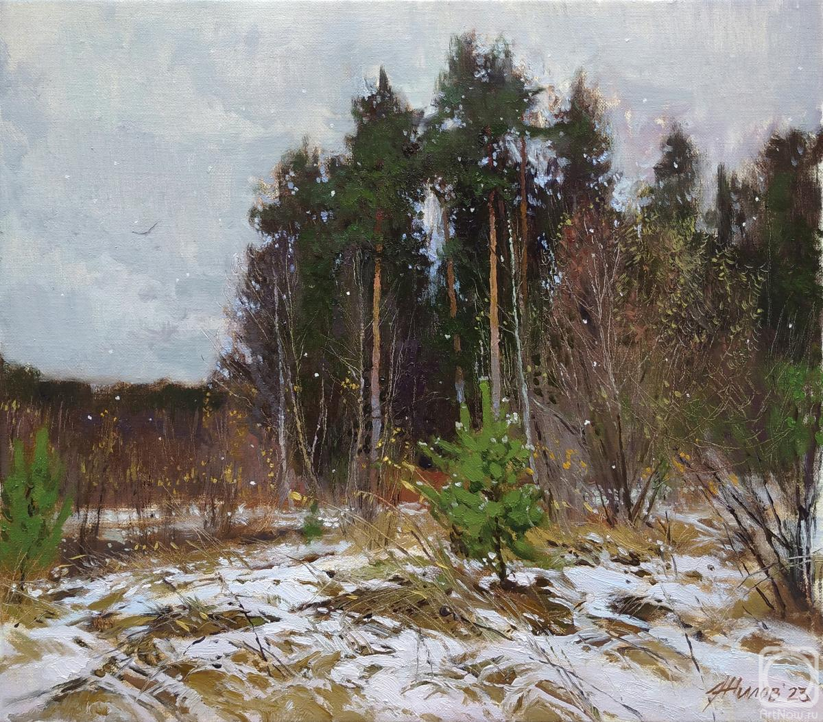 Zhilov Andrey. The snow was falling timidly