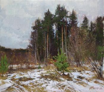 The snow was falling timidly. Zhilov Andrey