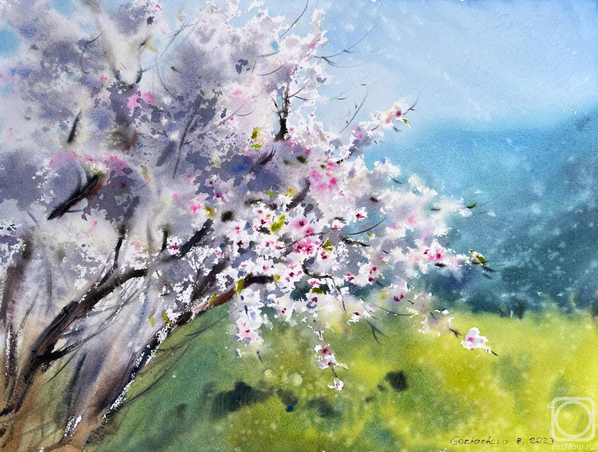 Gorbacheva Evgeniya. Blooming almond tree