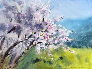 Blooming almond tree. Gorbacheva Evgeniya