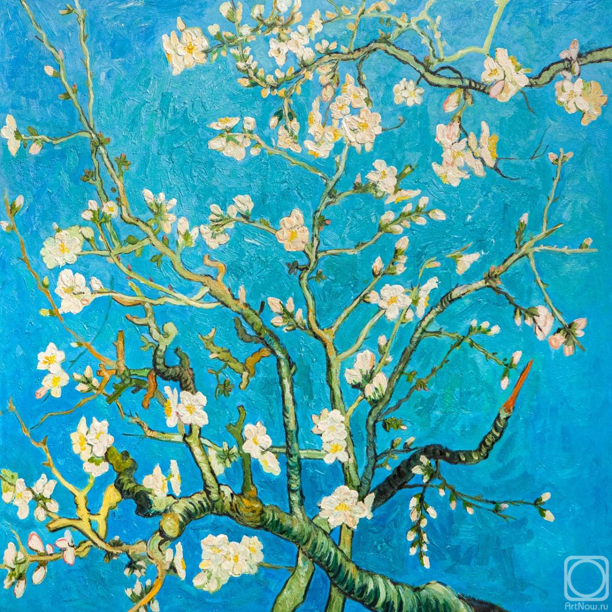 Vlodarchik Andjei. Copy of Van Gogh's painting. Branches with Almond Blossom, 1885
