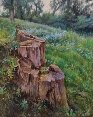 Stumps in July grasses. Vorobyov Anton