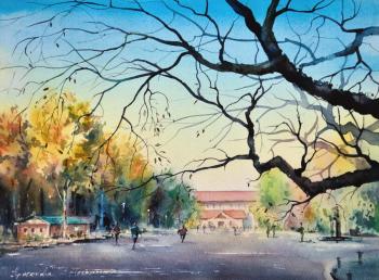 ���� � �����. ��������� �����