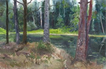 Forest pond. Mashin Igor