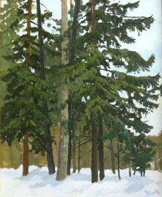 Winter day in the forest. Mashin Igor