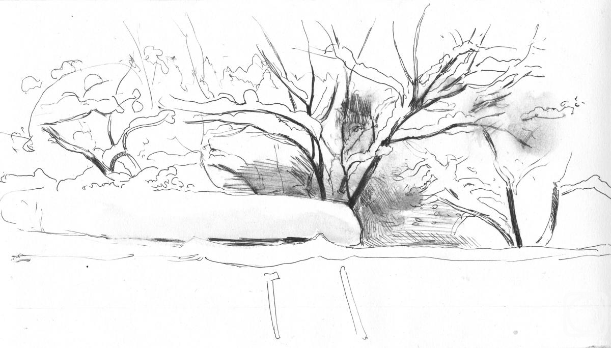 �������. ����� �����. ����. �����