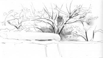 ������� �����. ������