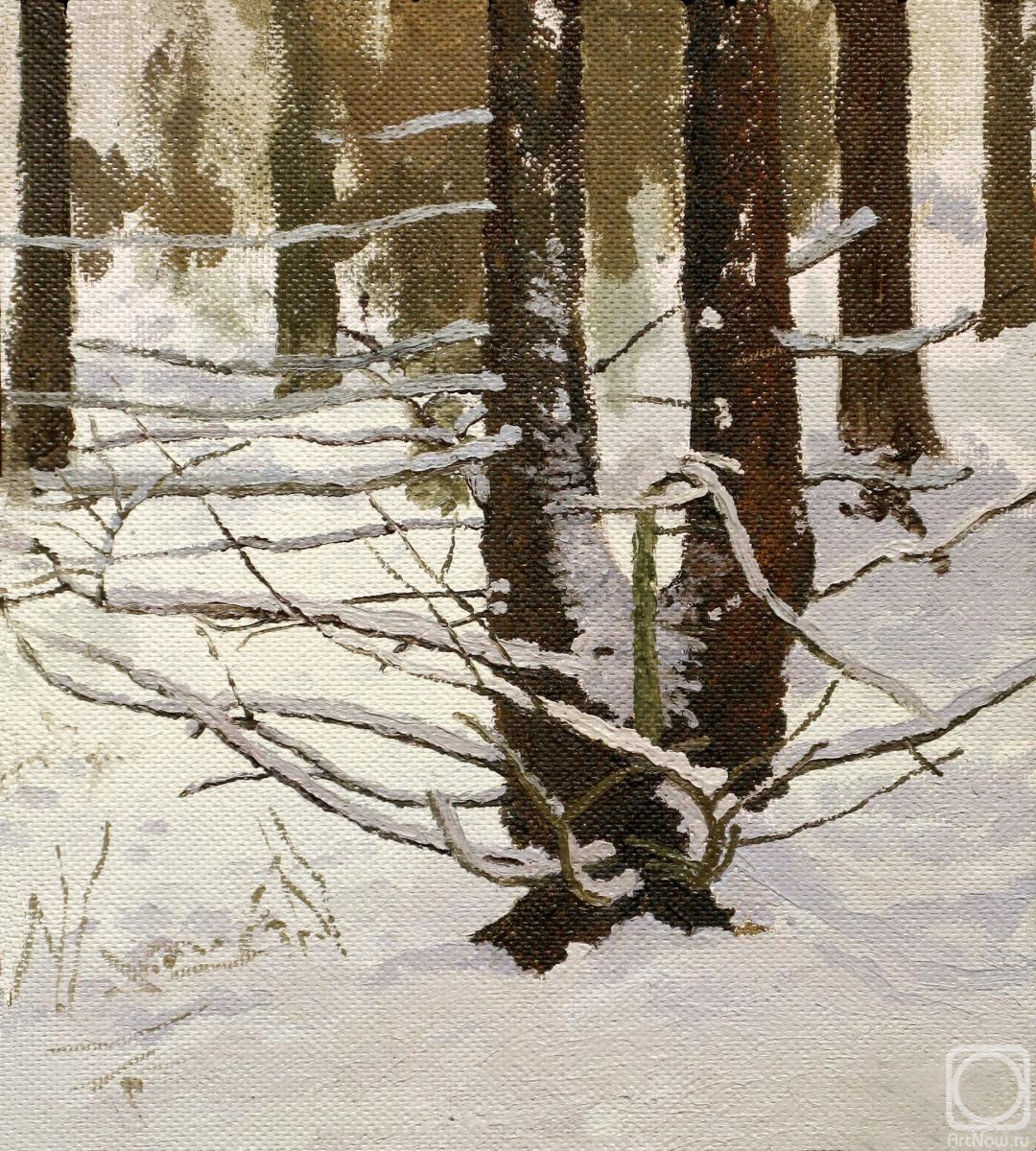 �������. ����� �����. ���� (����)