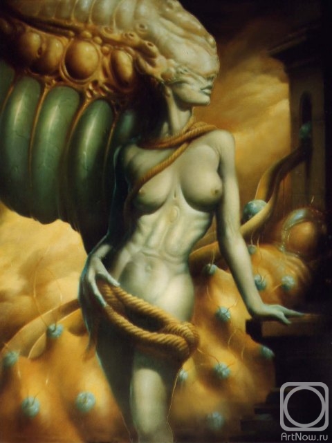 ������� ������ �� ������. ��������� �����. ���� "�������". �28