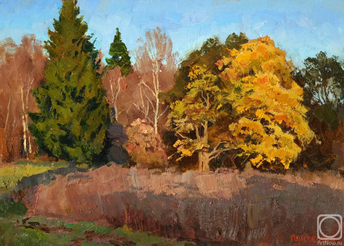 �������. ��������� ������. ��� � ������ (����)