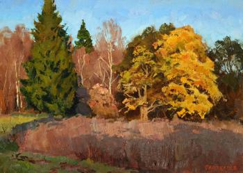 Forest in November. Panteleev Sergey