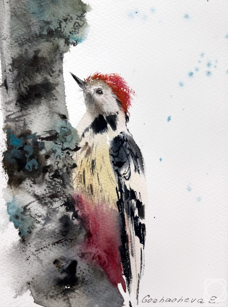 Gorbacheva Evgeniya. Woodpecker on a tree #2