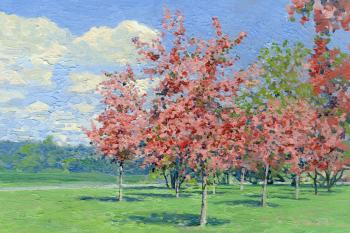 Pink color. Kolomenskoye (Apple Trees In Bloom). Kozhin Simon
