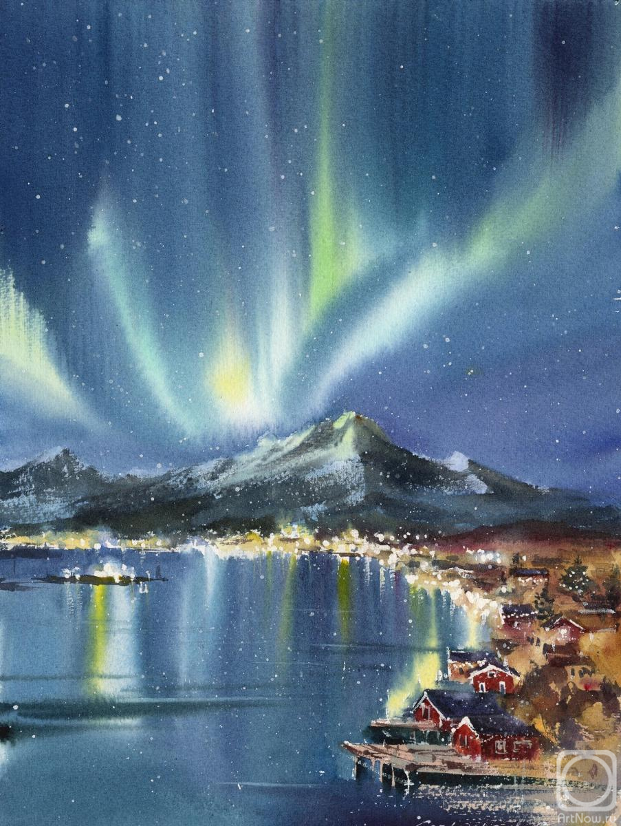 Gorbacheva Evgeniya. Northern lights. Norway