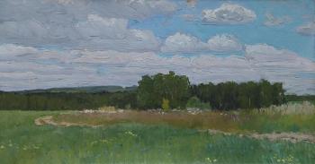 A road in the fields. June. Melnikov Aleksandr