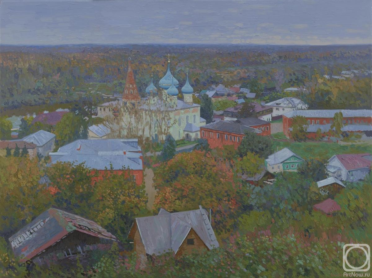 Kozhin Simon. Panorama of Gorokhovets