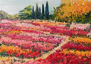 ������� ���� ���������