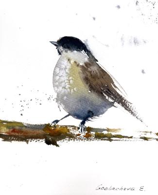 Little bird #4 (Original Watercolor). Gorbacheva Evgeniya