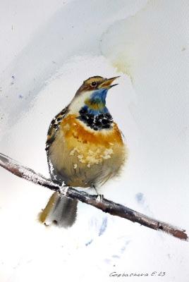 Bird on a branch (A Songbird). Gorbacheva Evgeniya
