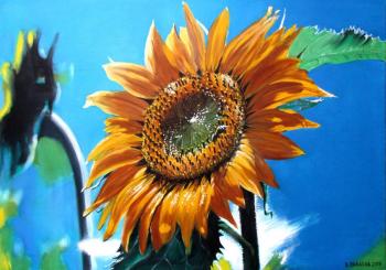 �������� ����� ����������. ����� � ���������